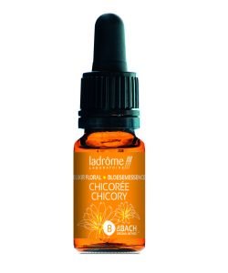 Chicorée - Chicory (n°8) BIO, 10 ml